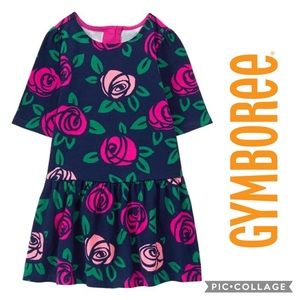 Gymboree Toddler Girl Navy Roses Sweater Dress